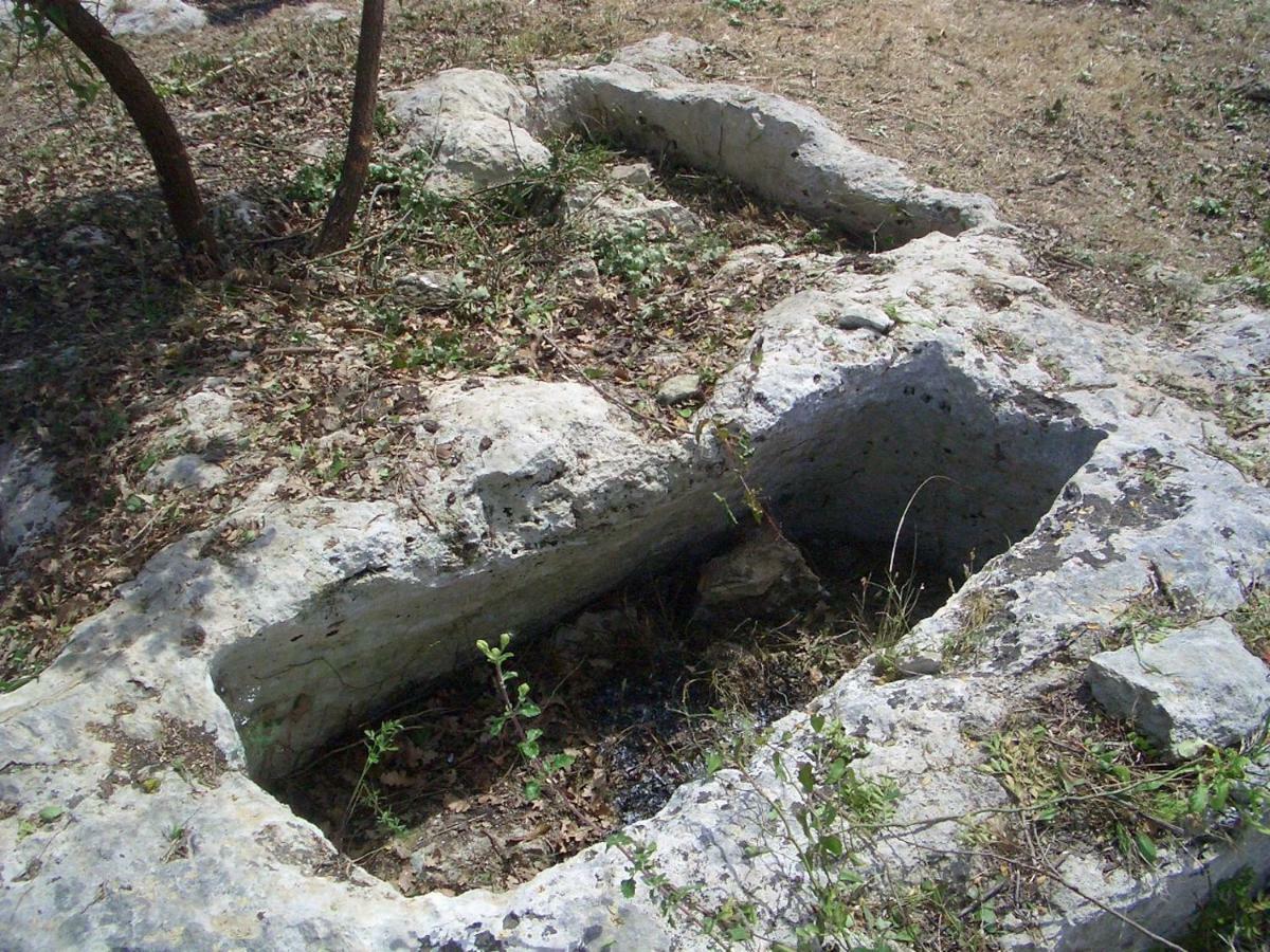 Mundus Terrae Villa Casa della Contessa Ngoại thất bức ảnh